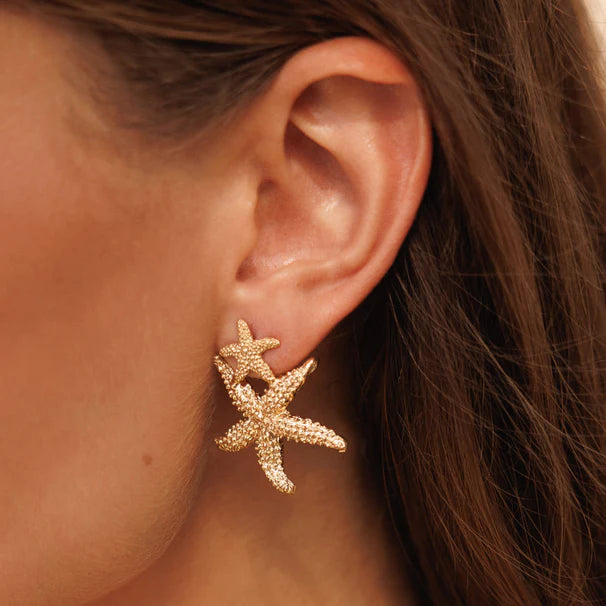 Color - Blocked Women Sweater for a Bold Fashion StatementCaroline Svedbom Sea Star Twin Earrings